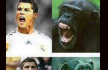 "Cristiano Ronaldo" "funny" "facebook poster"